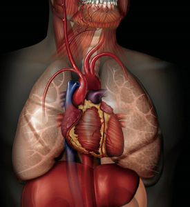 Tratamiento periodontal